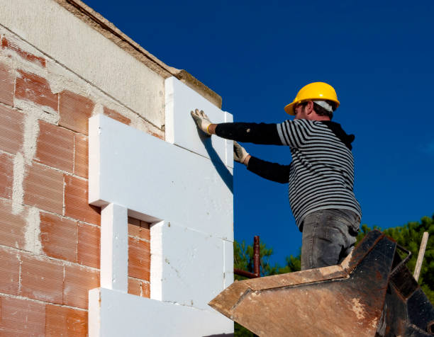 Best Best Insulation Companies  in Roberta, GA