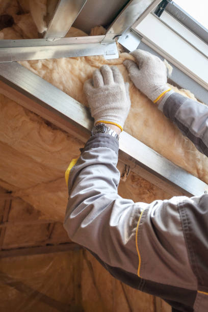 Best Residential Insulation Services  in Roberta, GA