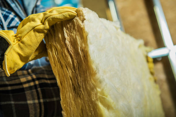 Best Attic Insulation Installation  in Roberta, GA