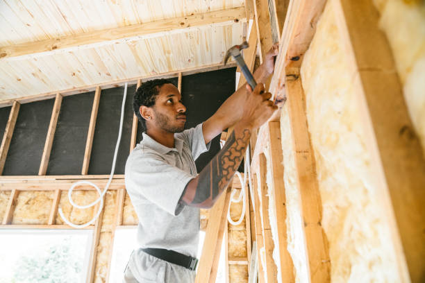 Best Local Insulation Services  in Roberta, GA