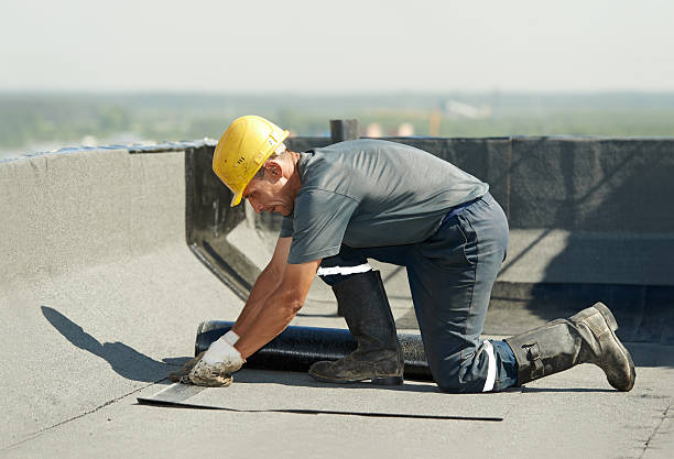 Best Insulation Removal Services  in Roberta, GA