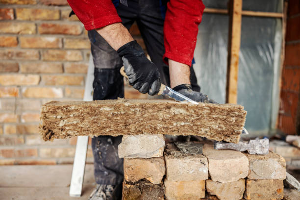 Best Insulation Replacement Services  in Roberta, GA