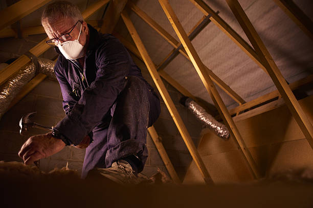 Best Insulation for New Construction  in Roberta, GA