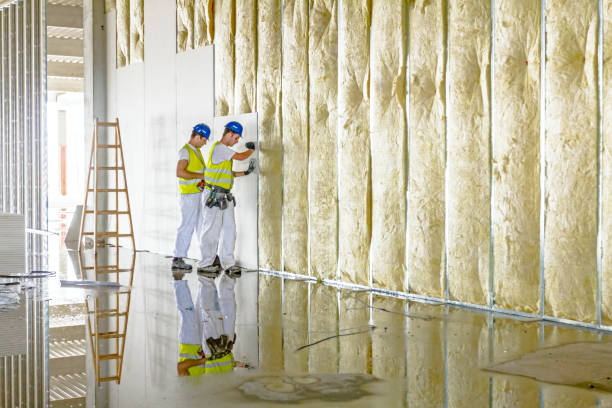 Best Insulation Contractor Near Me  in Roberta, GA